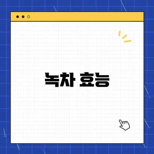 녹차 효능, 완전 정리! 다이어트와 항산화 효과까지