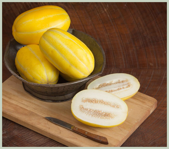 참외 고르는 법 꿀팁