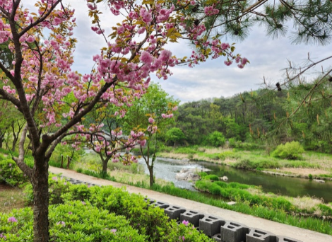 제천 산내들캠핑장 – 자연, 감성, 가족