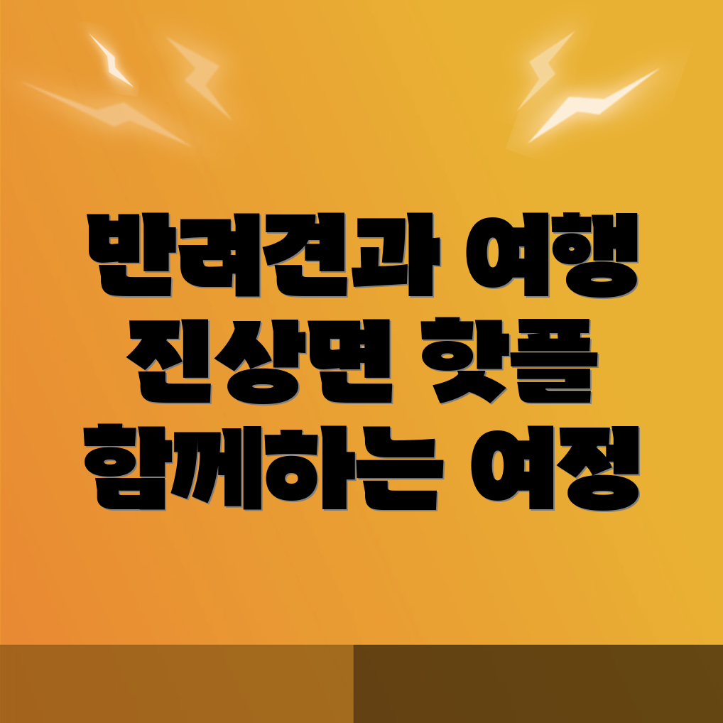 반려견 동반 여행