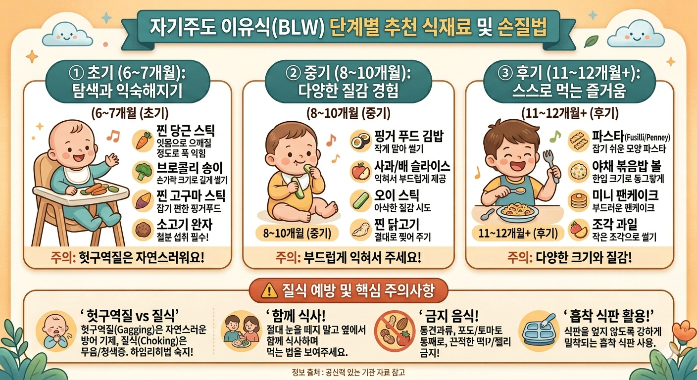 자기주도 이유식(BLW) 단계별 추천 식재료 및 손질법 인포그래픽