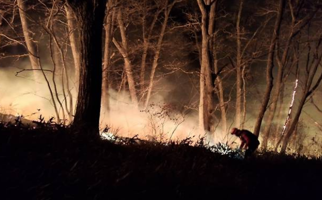 양양 산불 진화