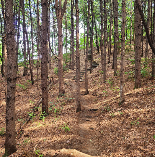 영화 힐링 관련 사진
