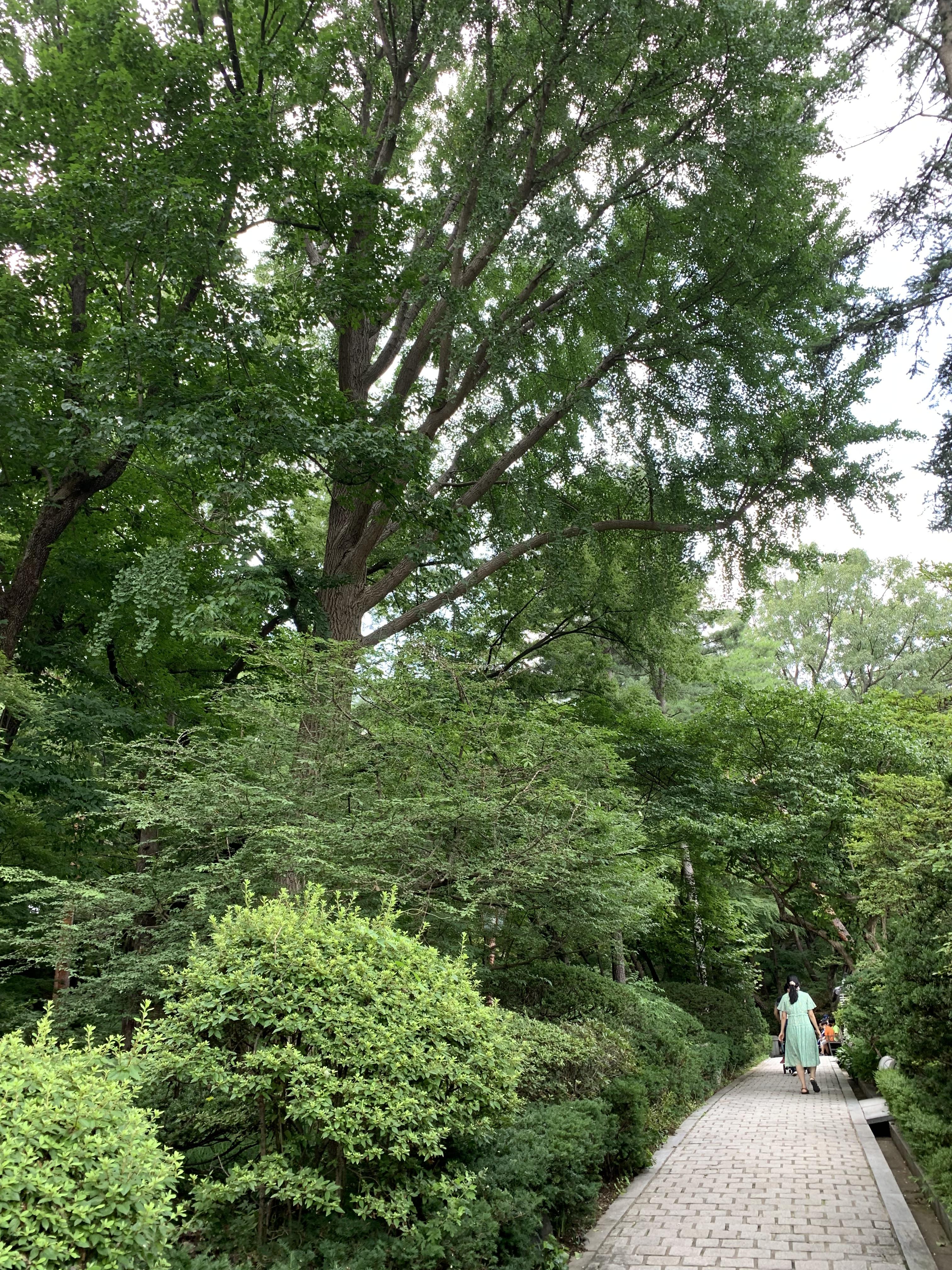 청와대 내부 정원3