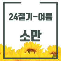 24절기 중 소만에 대한 글의 썸네일 입니다.