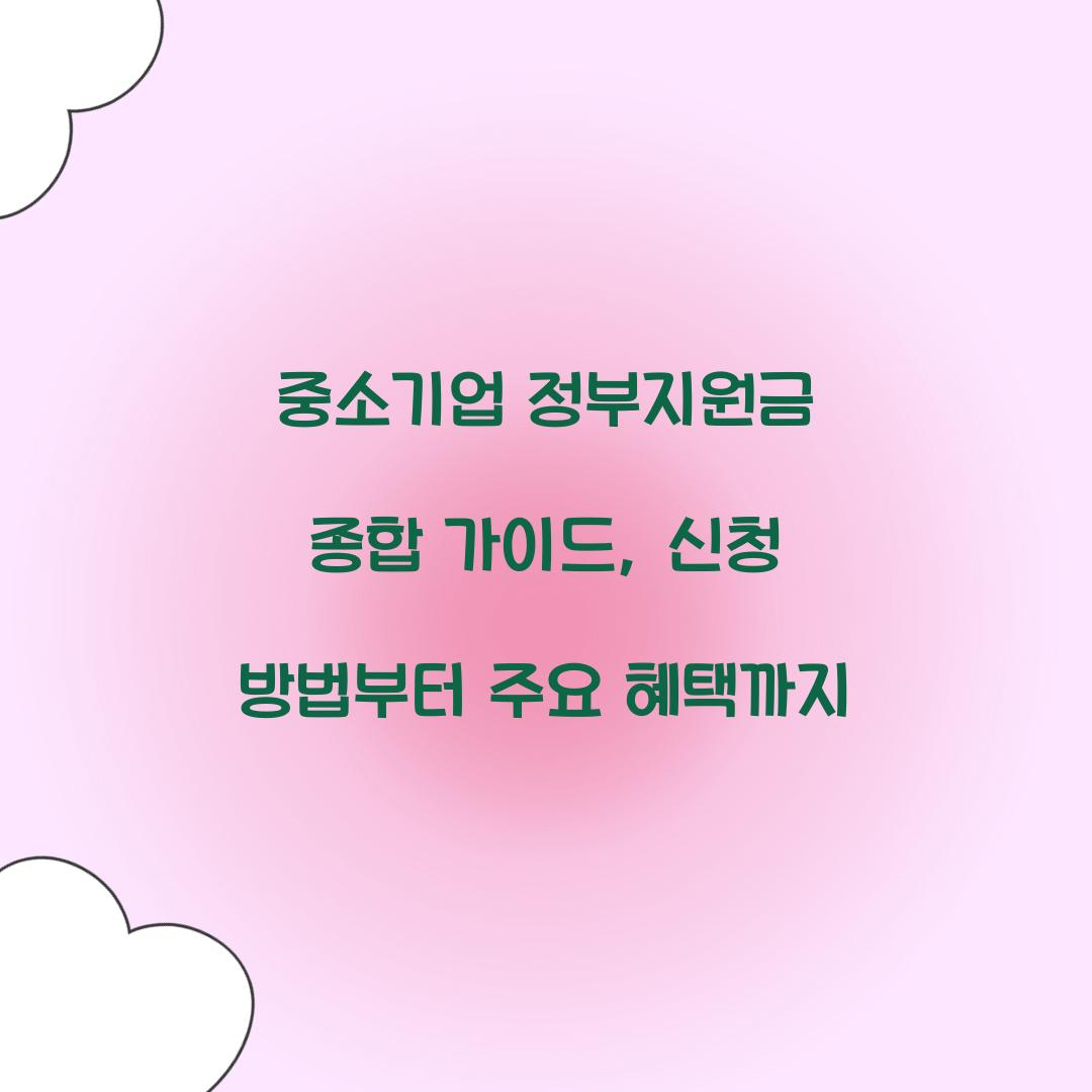 중소기업 정부지원금