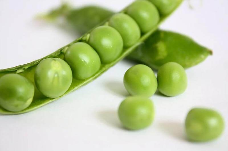 과민성 대장증후군에 좋은음식 완두콩