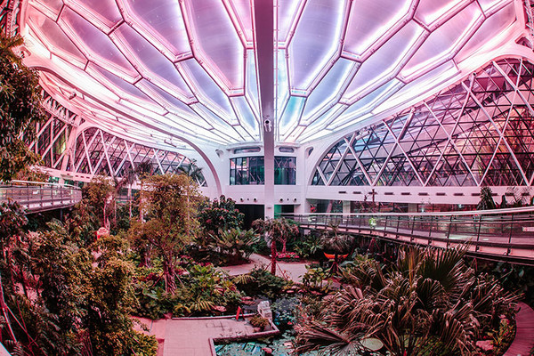 서울식물원 야간개장 취소표 예약 방법