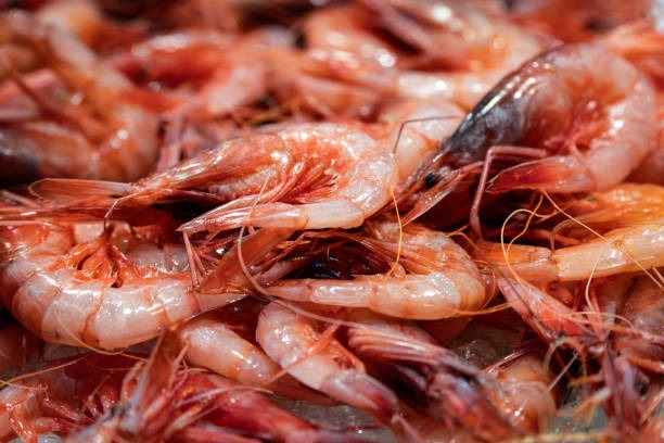 새우 잡는 꿈 해몽