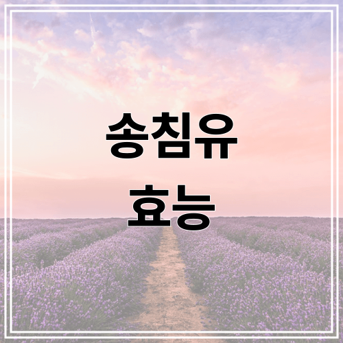 송침유 효능