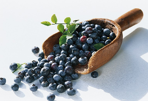 노화예방블루베리