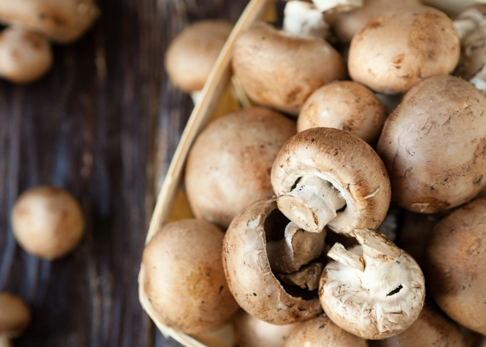 양송이버섯 효능