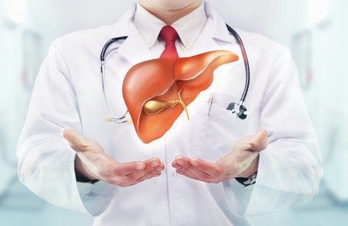 케일-항산화-작용과-해독-효과가-뛰어난-최고의-슈퍼푸드