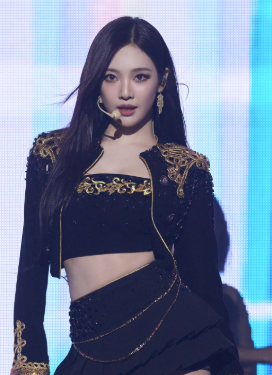 이재명 아들 카리나