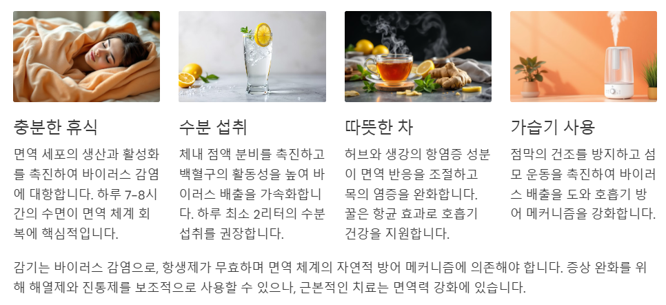 감기의 올바른 치료법