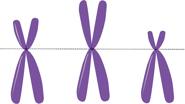 다운증후군 염색체이상 질환
