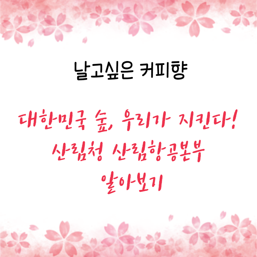 산림청 산림항공본부 알아보기