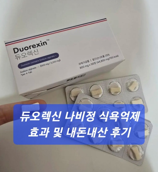 듀오렉신 나비정
