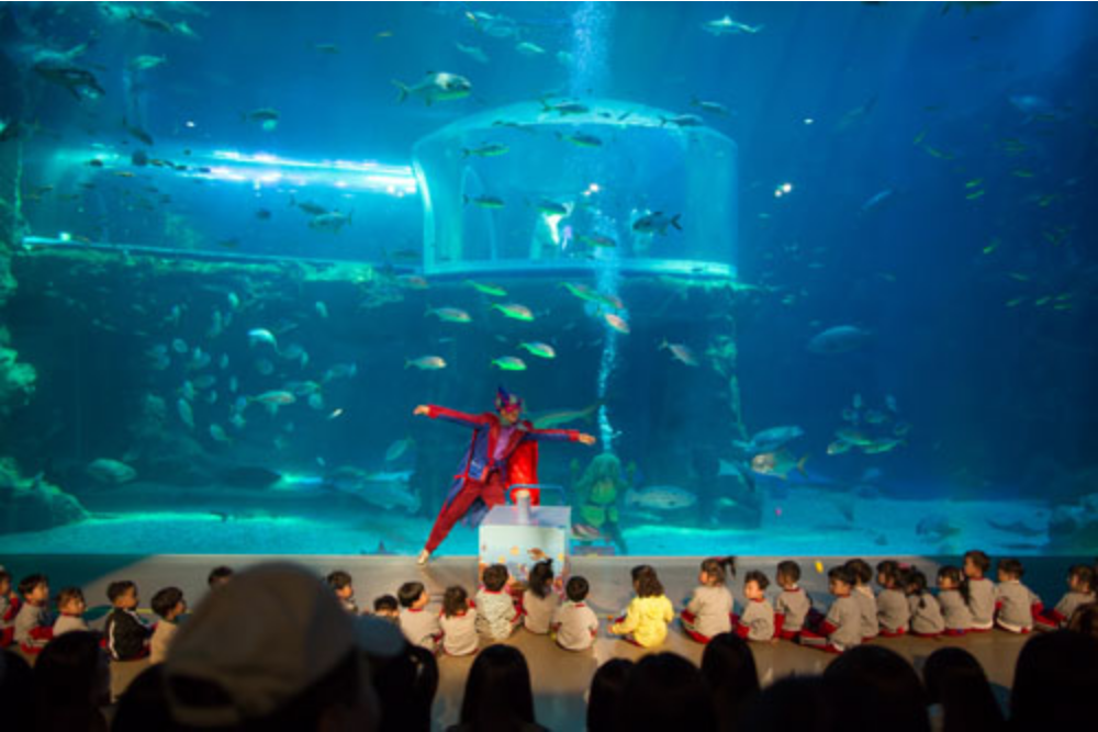 아쿠아플라넷 전경