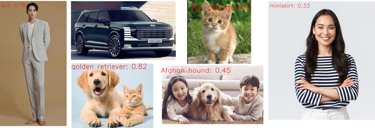 Mediapipe Image Classification