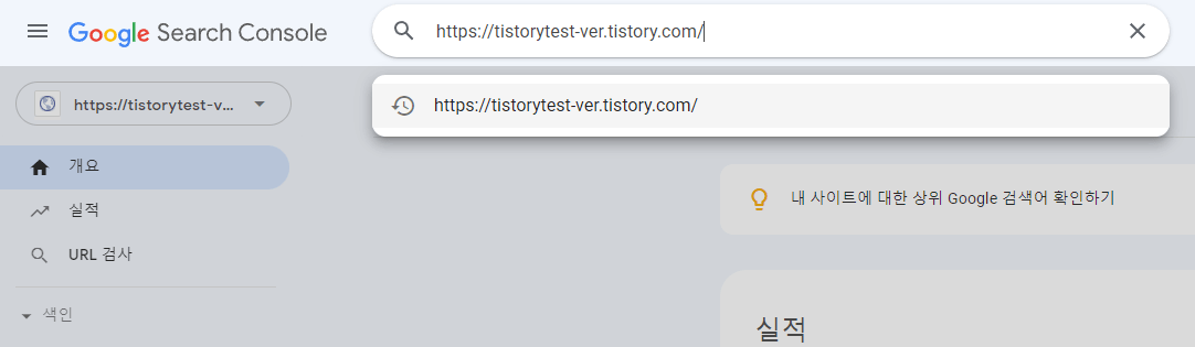 구글서치콘솔 내 검색창