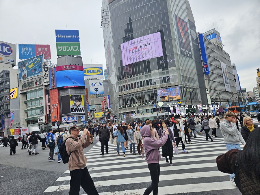 도쿄 여행 시부야 스크램블 교차로 카페 추천 TOP 05