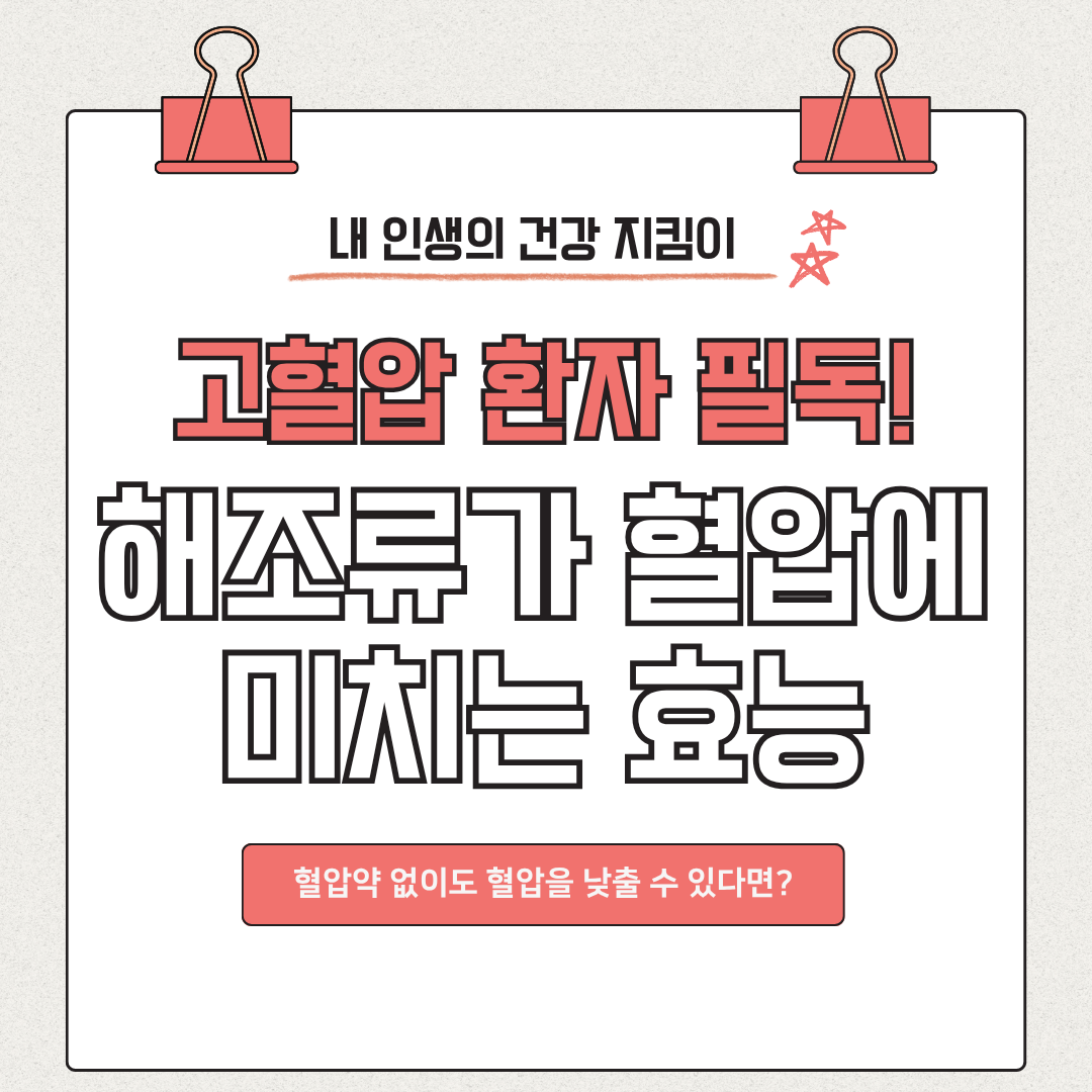 해조류가 혈압에 미치는 효능