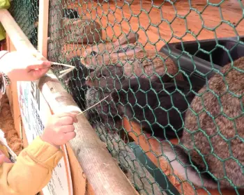함평 나비축제_19