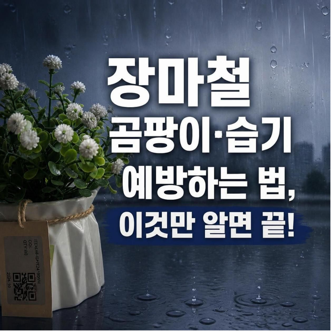 장마철 습기제거법