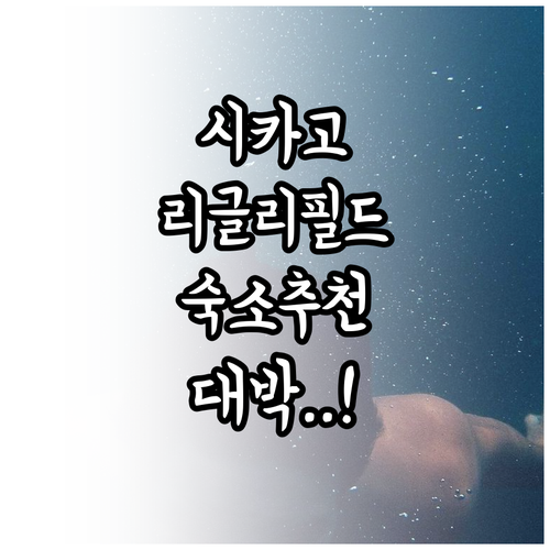 시카고 여행 숙소 추천 리글리 필드 ..