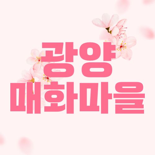 광양매화마을CCTV 실시간 교통상황 확인 방법