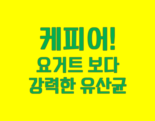 「요거트보다 강력한 유산균 케피어」 대장 건강의 진짜 해답!
