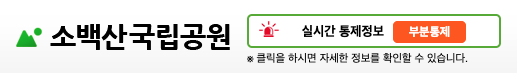 소백산 실시간 통제정보