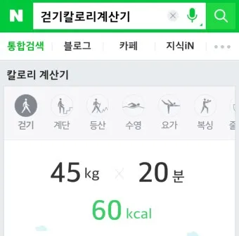 걷기 칼로리 계산기 걸음수 소비 칼로리_6
