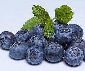 혈관에 좋은 음식 블루베리