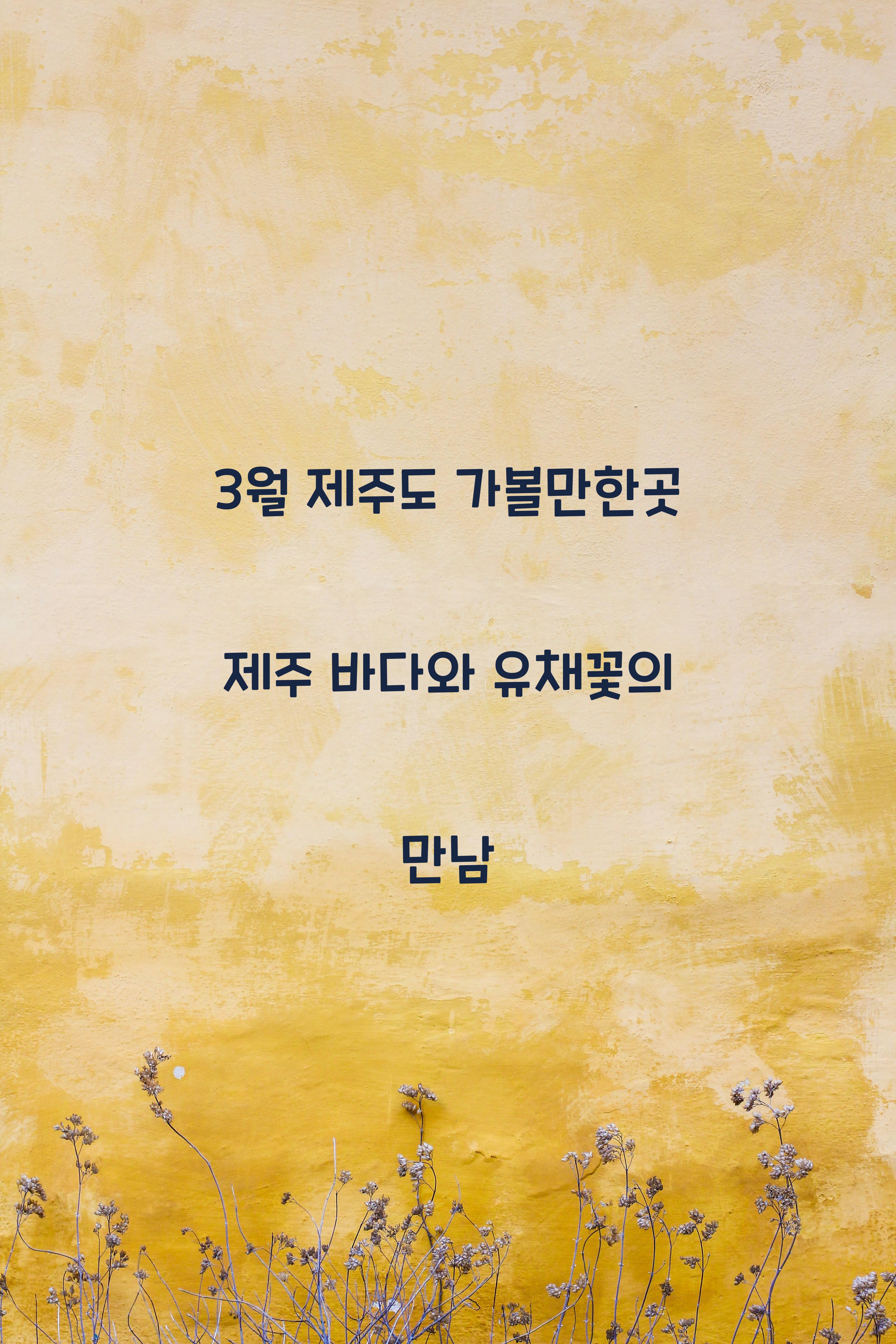 3월제주도가볼만한곳