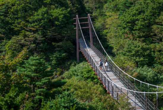 제주도