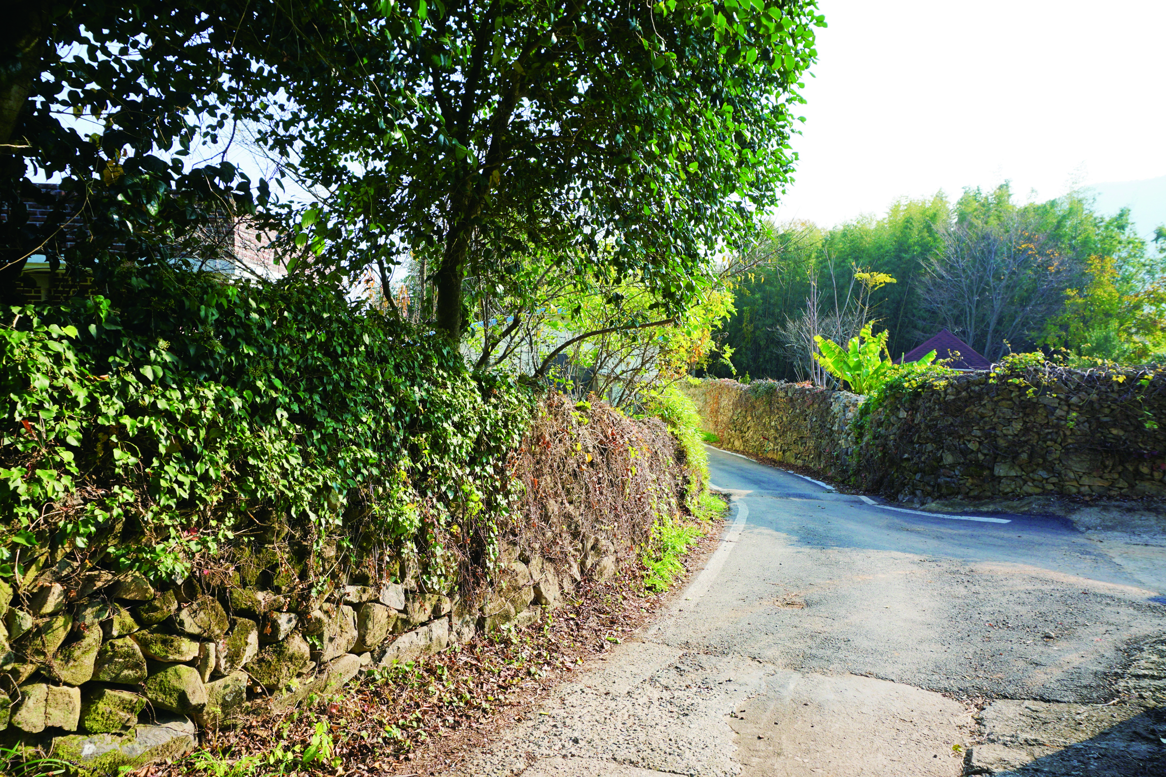 장흥의 글서릿길 모습
