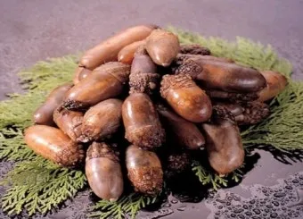 미더덕 찜국 미더덕회 미더덕철 오만둥이 레시피_7