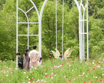 함평나비축제_10