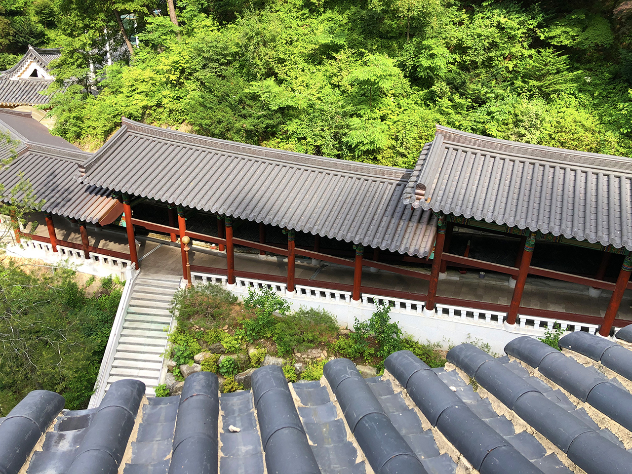 구인사 경치