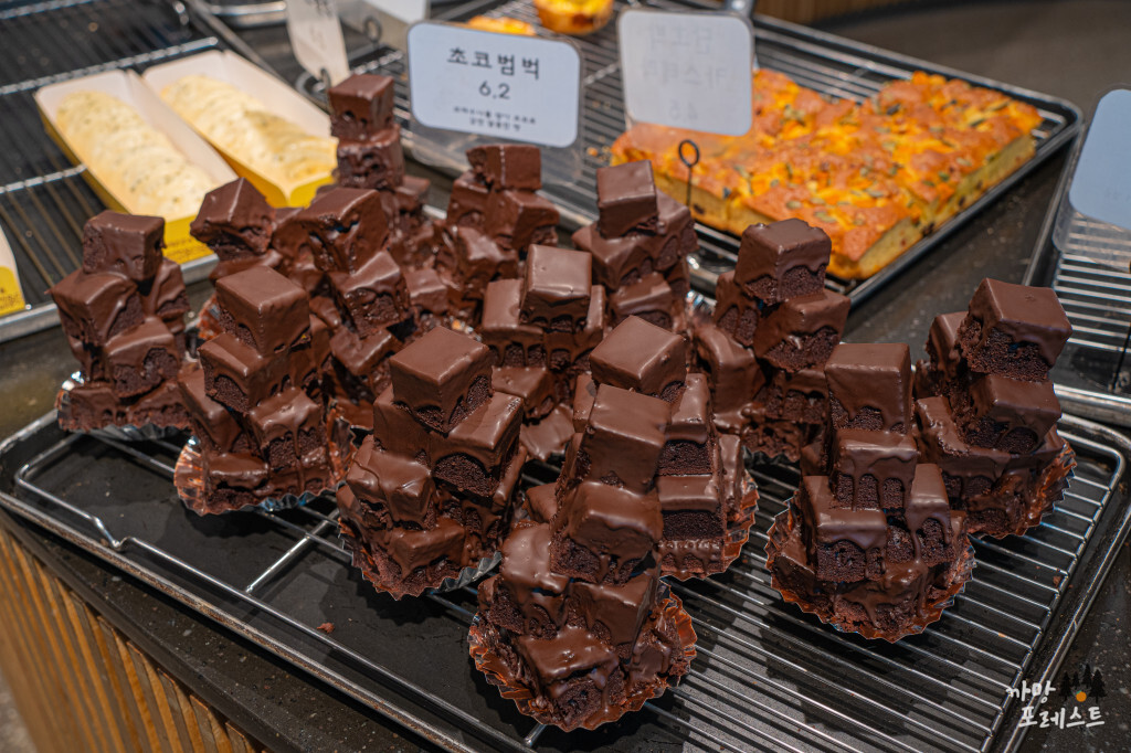 파주 앤드테라스 빵