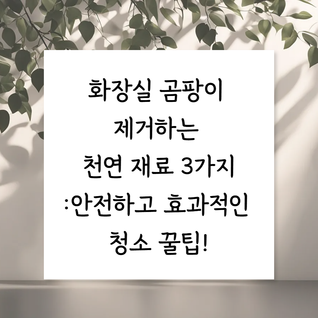 화장실 곰팡이 제거하는 천연 재료 3가지 – 안전하고 효과적인 청소 꿀팁!