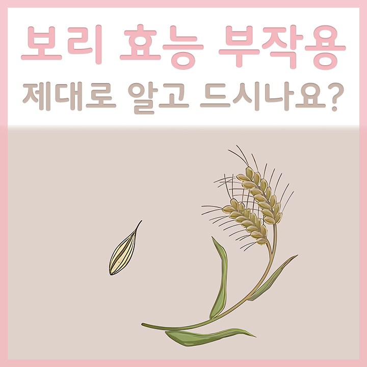 보리
