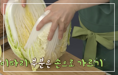 배추 손질하기 - 가르기