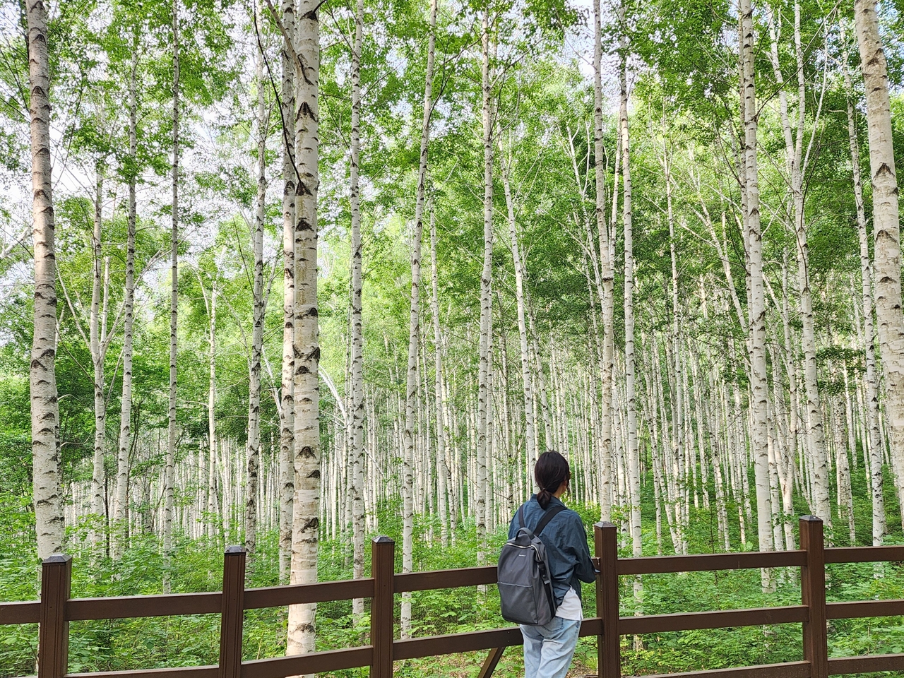 산나물의 종류와 사진