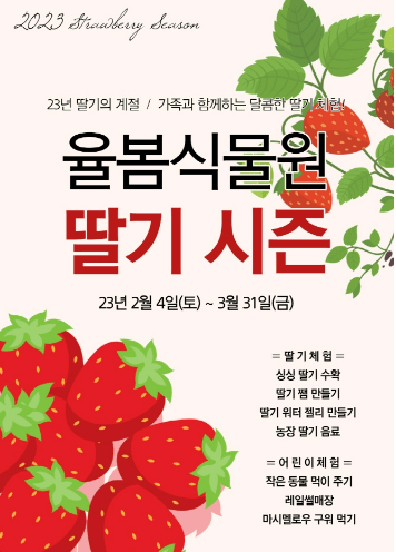 딸기 체험농장 추천