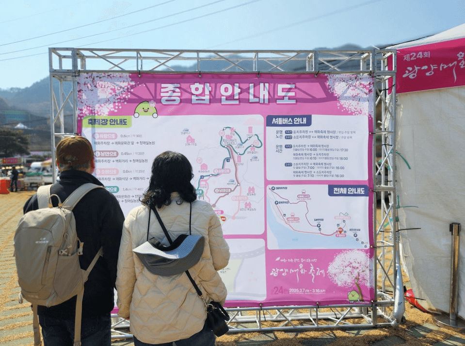 2025 광양 매화 축제 관련기사