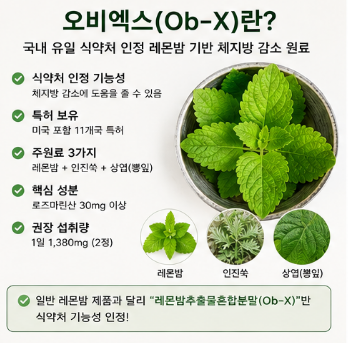 오비엑스-효능-후기-먹는법-내돈내산-다이어트-효과