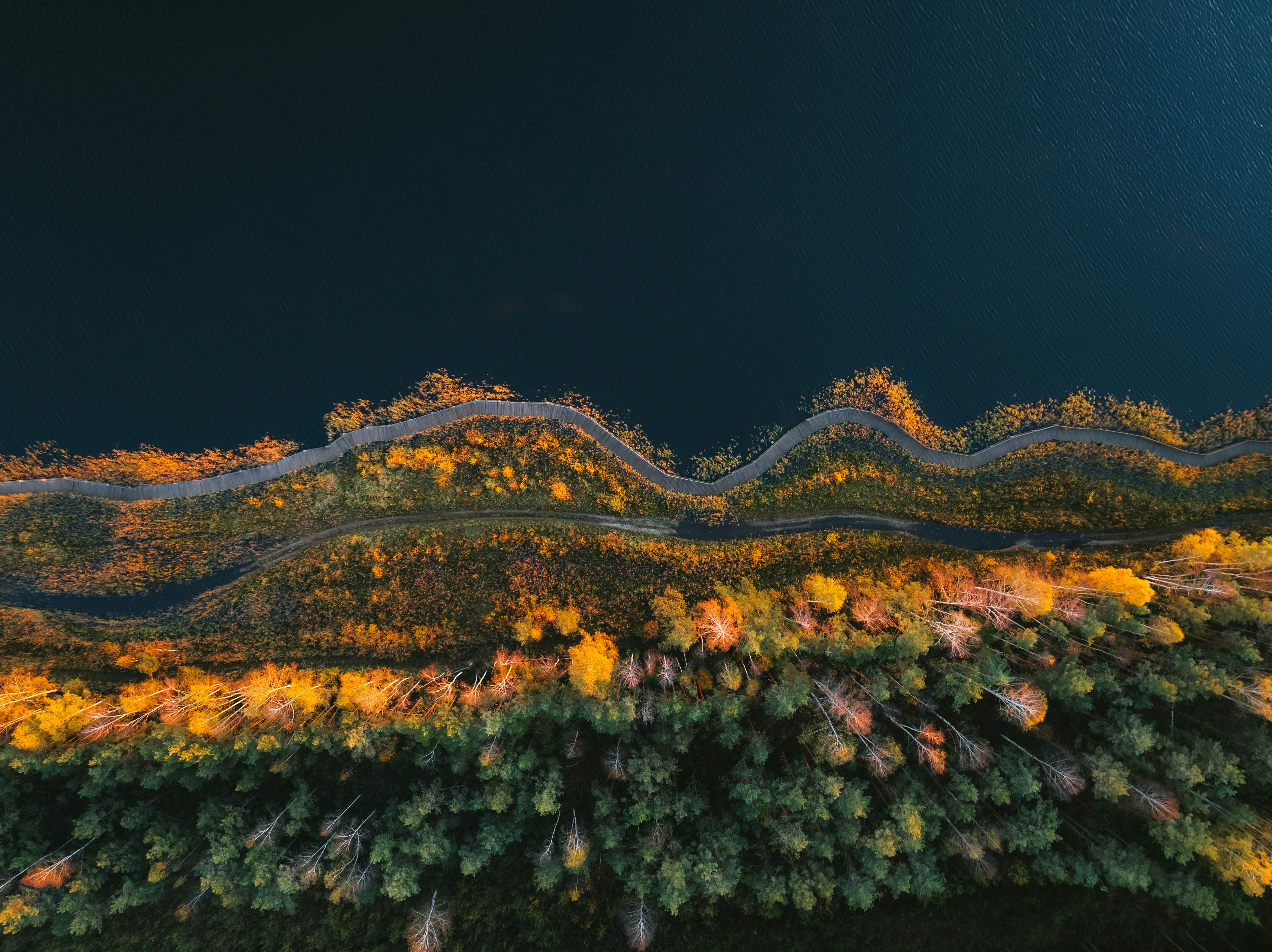 사주에서 월주와 월지의 중요성